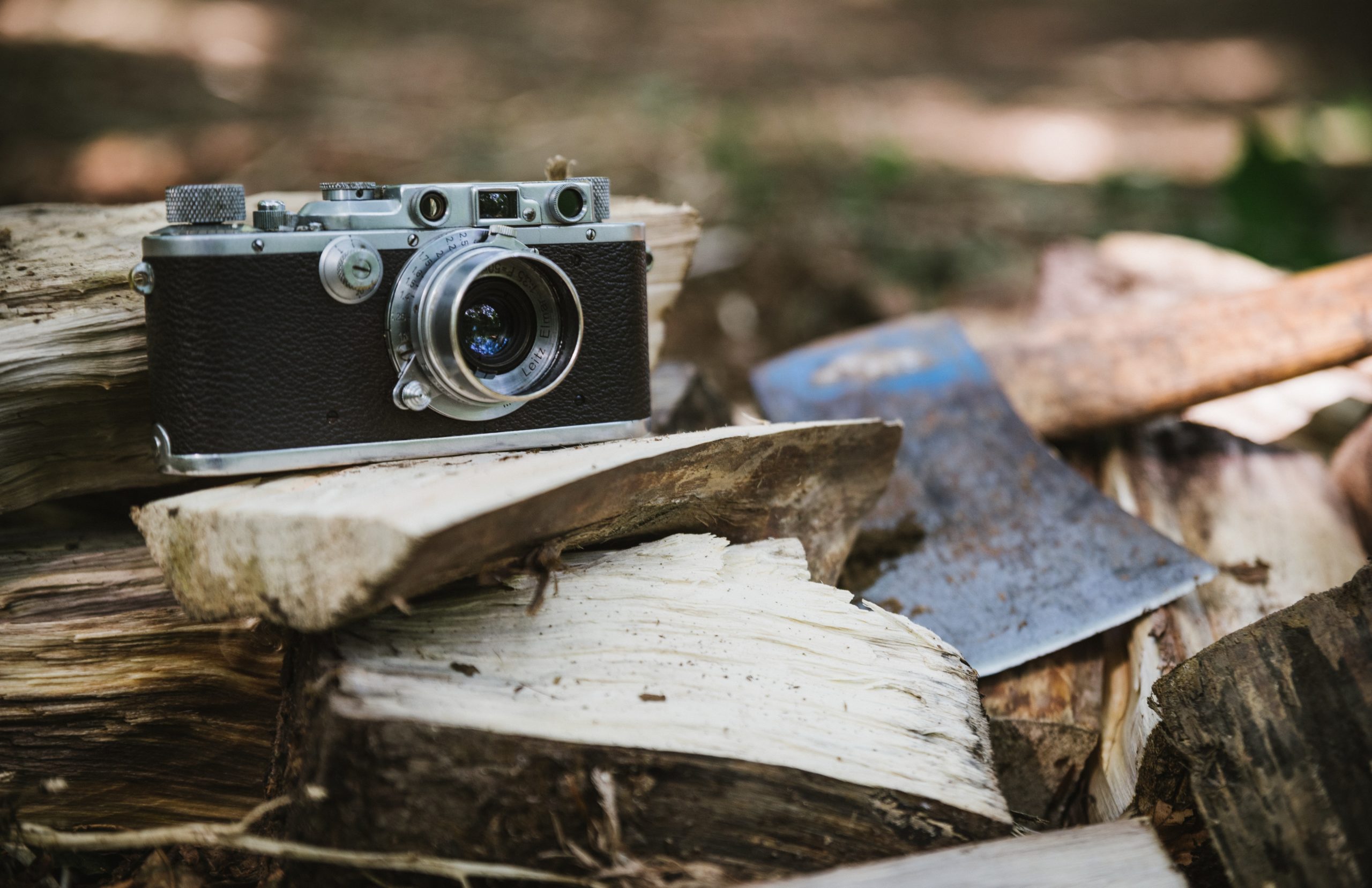 alexander-andrews-90te8psHgsQ-unsplash